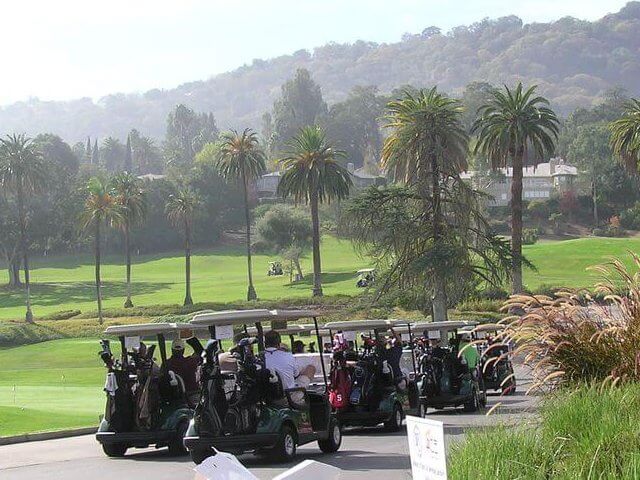 a line of golf carts driving down a path with green grass and palm trees in the background
